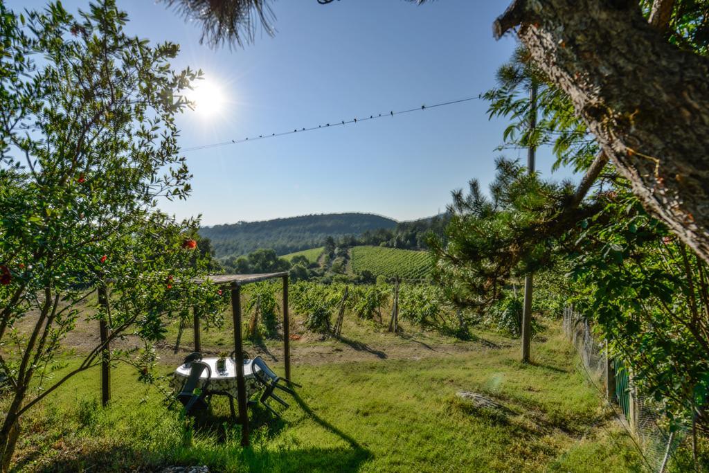 Agriturismo Fattoria Di Gratena Arezzo Exterior photo