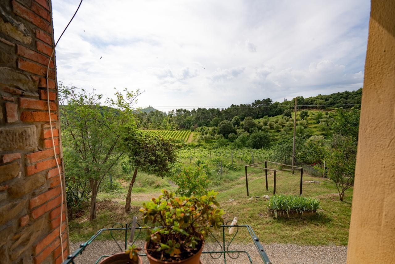 Agriturismo Fattoria Di Gratena Arezzo Exterior photo