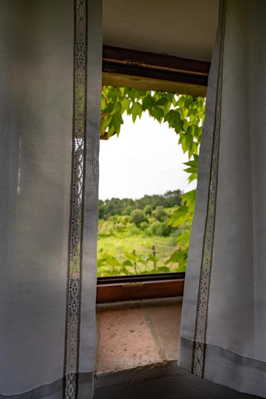 Agriturismo Fattoria Di Gratena Arezzo Exterior photo
