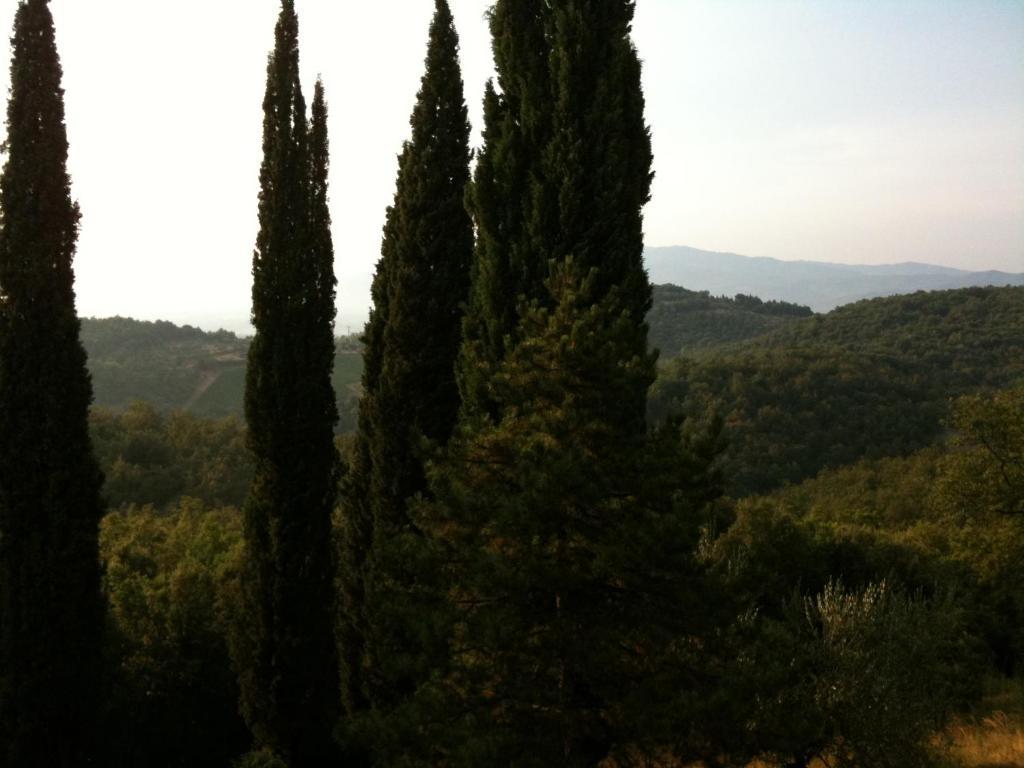Agriturismo Fattoria Di Gratena Arezzo Exterior photo
