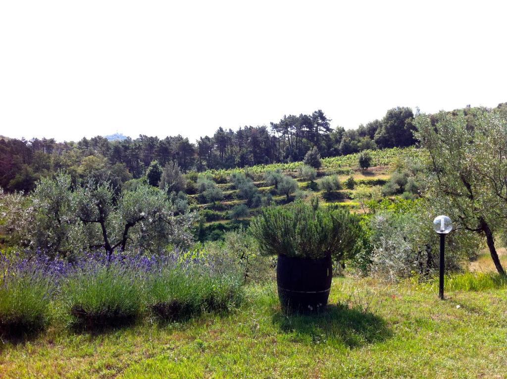 Agriturismo Fattoria Di Gratena Arezzo Exterior photo